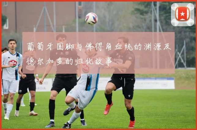 葡萄牙国脚与佛得角血统的渊源及德尔加多的归化故事