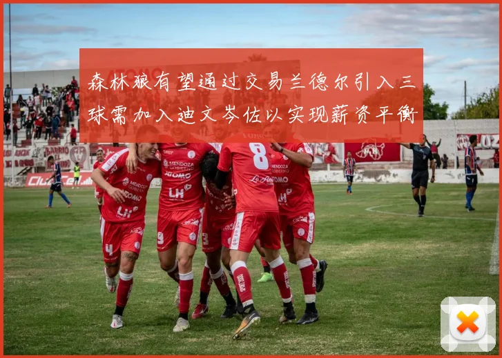 森林狼有望通过交易兰德尔引入三球需加入迪文岑佐以实现薪资平衡