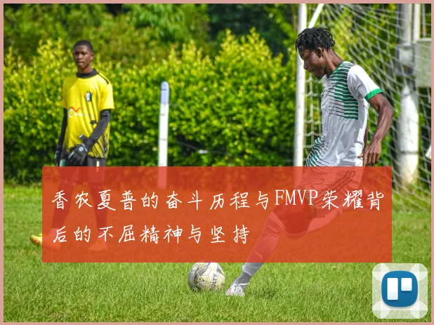 香农夏普的奋斗历程与FMVP荣耀背后的不屈精神与坚持