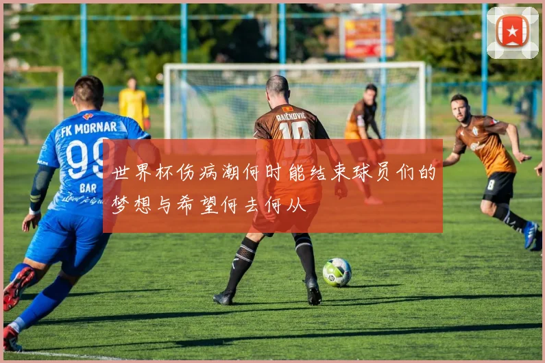 世界杯伤病潮何时能结束球员们的梦想与希望何去何从