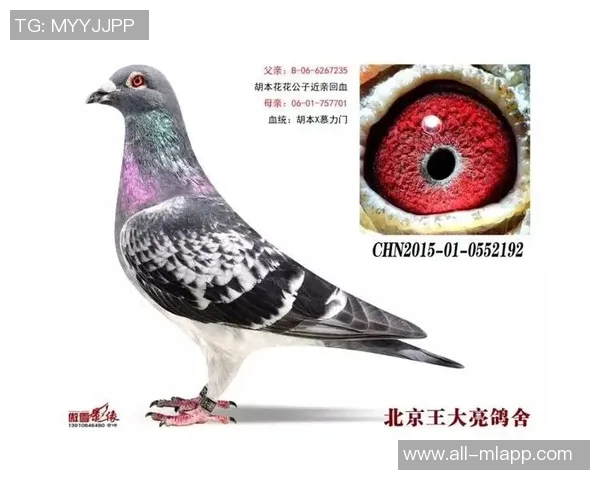 泰森豪取23分14篮板阿特金森赞其展现出应有的拼搏精神