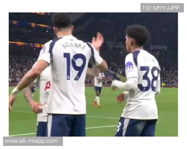 热刺球迷在对法兰克福比赛中行纳粹礼或将遭受更严厉处罚